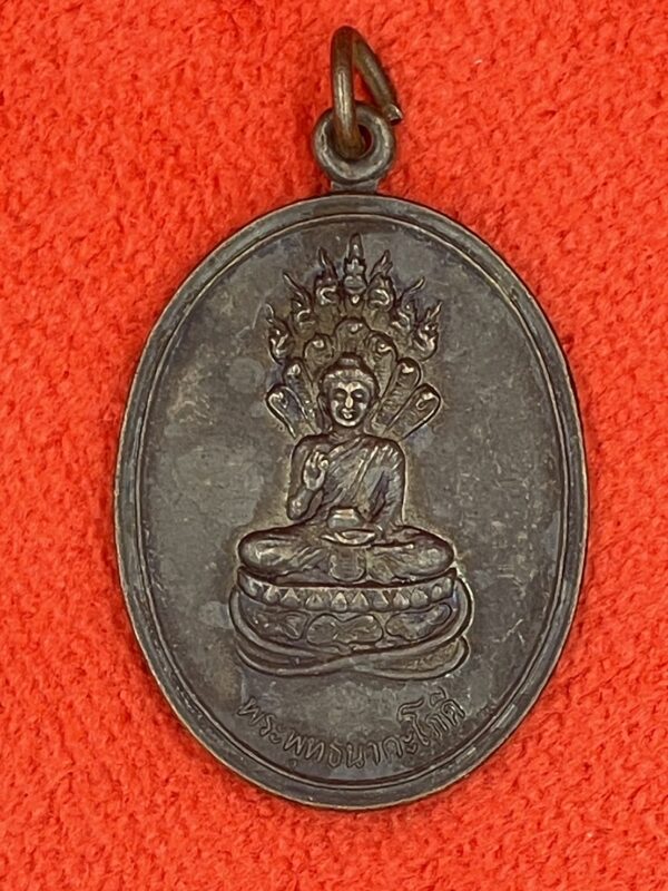 พระพุทธนาคะโภคี ปี 2536 สำนักอนันตไตรภูมิ อ.พร้าว จ.เชียงใหม่
